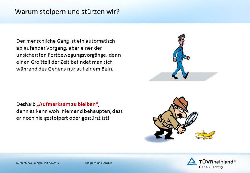 Stolpern und Stürzen (E-Book, PDF)