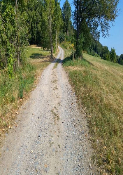 Der Weg des Geldes