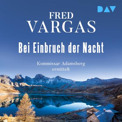 Bei Einbruch der Nacht – Adamsberg 2