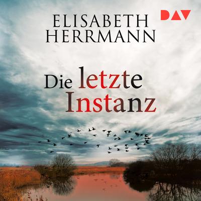 Die letzte Instanz. Joachim Vernau 3