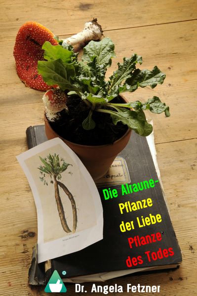Die Alraune - Pflanze der Liebe, Pflanze des Todes