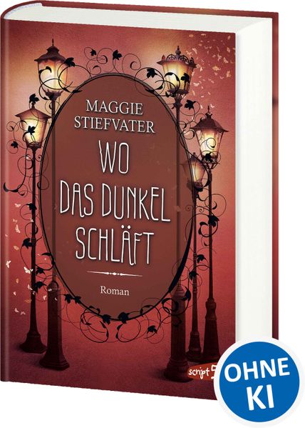 Wo das Dunkel schläft (Band 4)