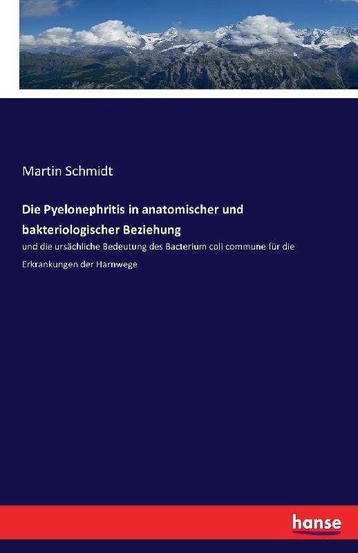 Die Pyelonephritis in anatomischer und bakteriologischer Beziehung