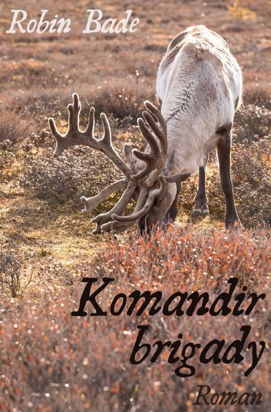 Komandir brigady