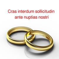 Cras interdum sollicitudin ante nuptias nostri