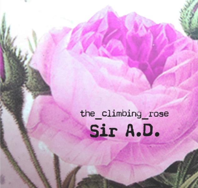 Sir A.D.