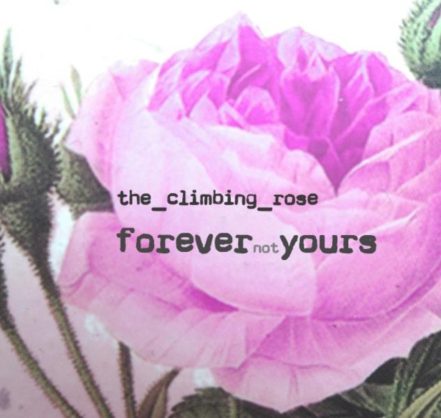 forevernotyours