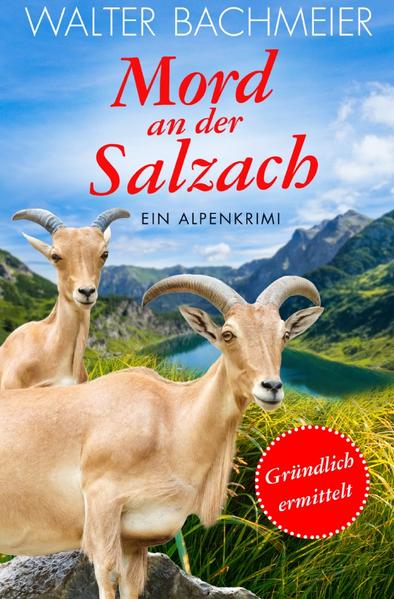 Inspektor Tina Gründlich / Mord an der Salzach