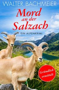 Inspektor Tina Gründlich / Mord an der Salzach