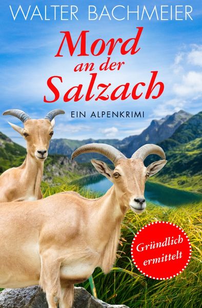 Inspektor Tina Gründlich / Mord an der Salzach