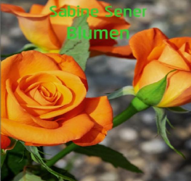 Bunte Blumenwelt