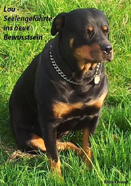 Lou - Seelengefährte ins neue Bewusstsein