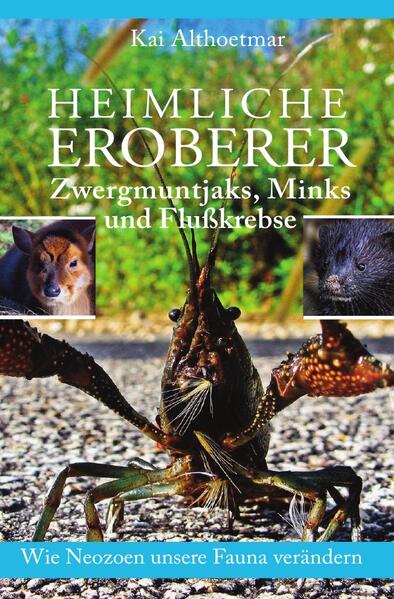 Heimliche Eroberer