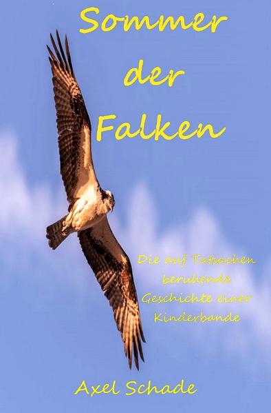 Sommer der Falken