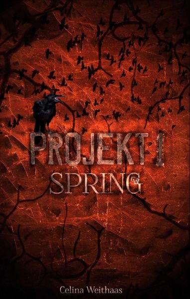 Projekt I