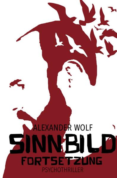 SINNBILD / SINNBILD Fortsetzung