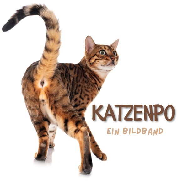 Katzenpo