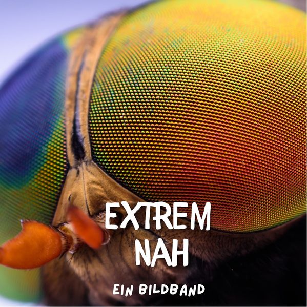 Extrem nah