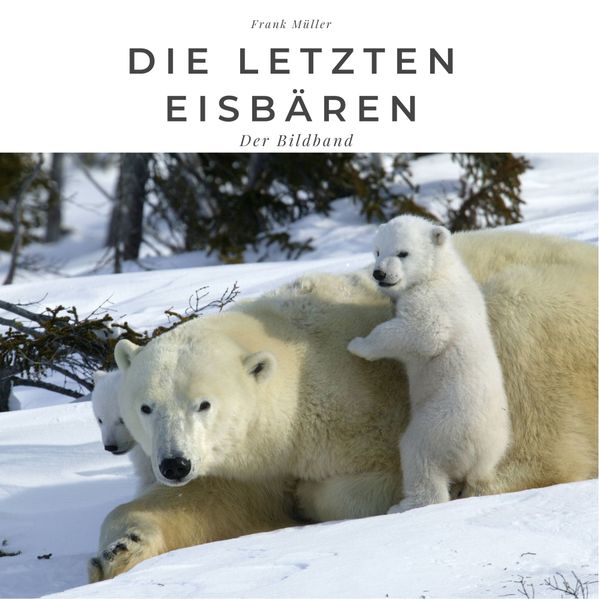 Die letzten Eisbären