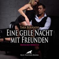 Eine geile Nacht mit Freunden | Erotik Audio Story | Erotisches Hörbuch Audio-CD
