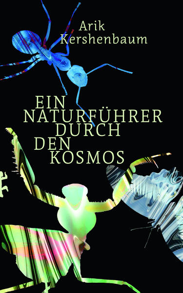 Unbekannter Titel