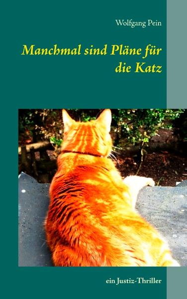 Manchmal sind Pläne für die Katz