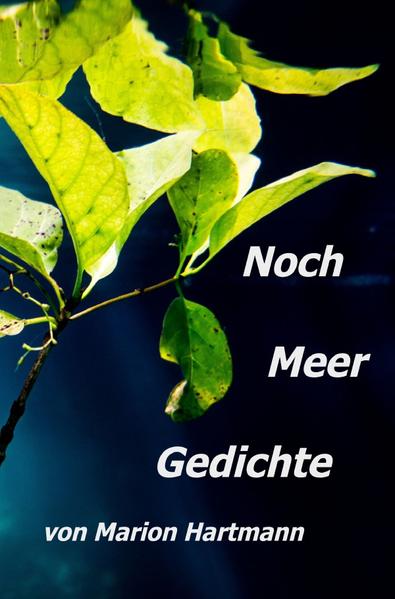 Noch Meer Gedichte