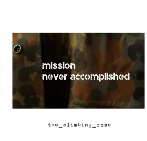 mission never ending