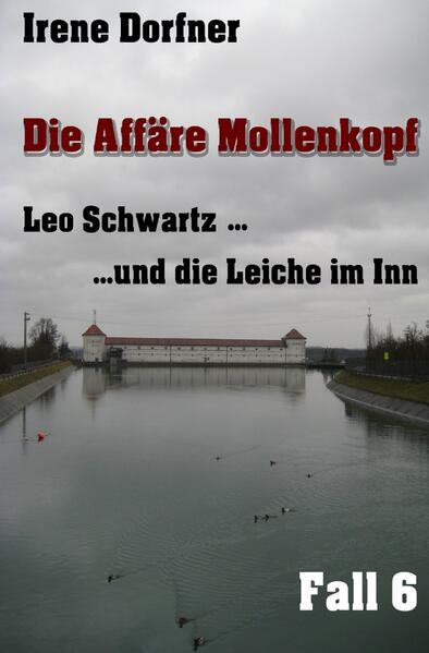 Leo Schwartz / Die Affäre Mollenkopf