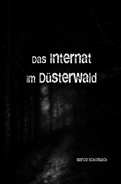 Das Internat im Düsterwald