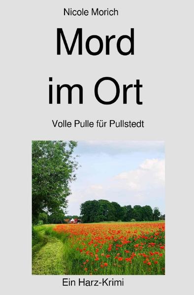 Pullstedt Krimi / Mord im Ort