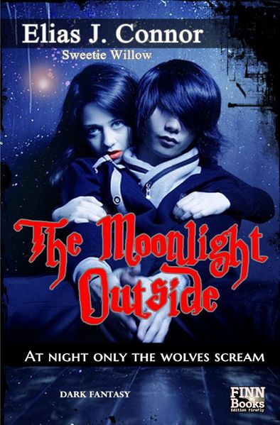The Moonlight Outside