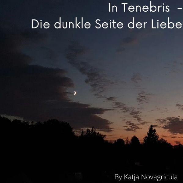 In Tenebris - Die dunkle Seite der Liebe