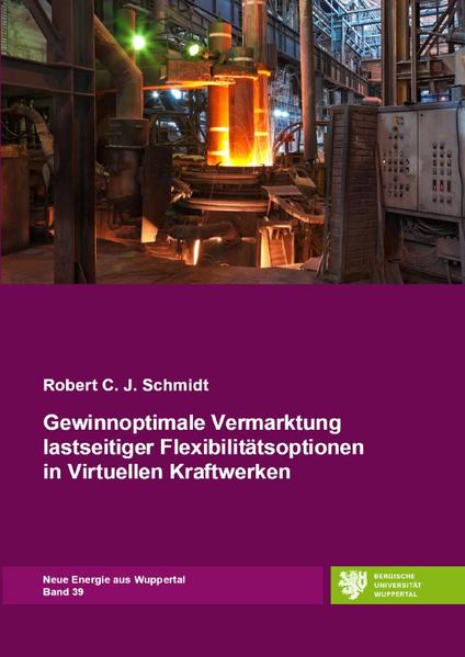 Neue Energie aus Wuppertal / Gewinnoptimale Vermarktung lastseitiger Flexibilitätsoptionen in Virtuellen Kraftwerken