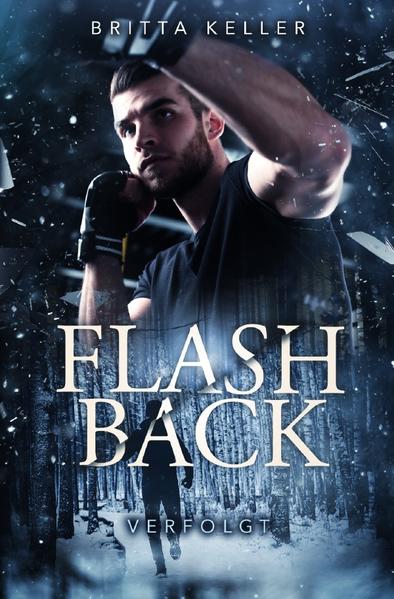Flashback-Trilogie (Die Organisation) / Flashback
