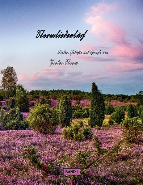 Stormliederbuch - Sütterlin