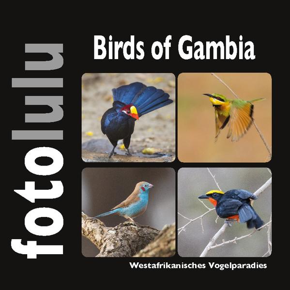 Birds of Gambia