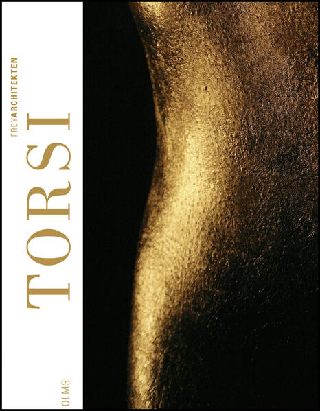 Torsi