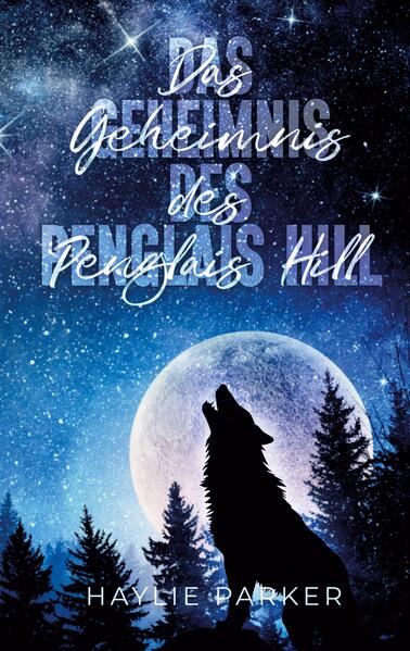 Das Geheimnis des Penglais Hill