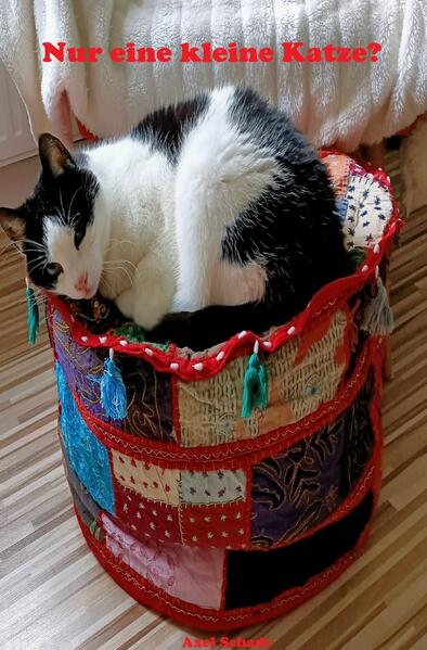Nur eine kleine Katze?