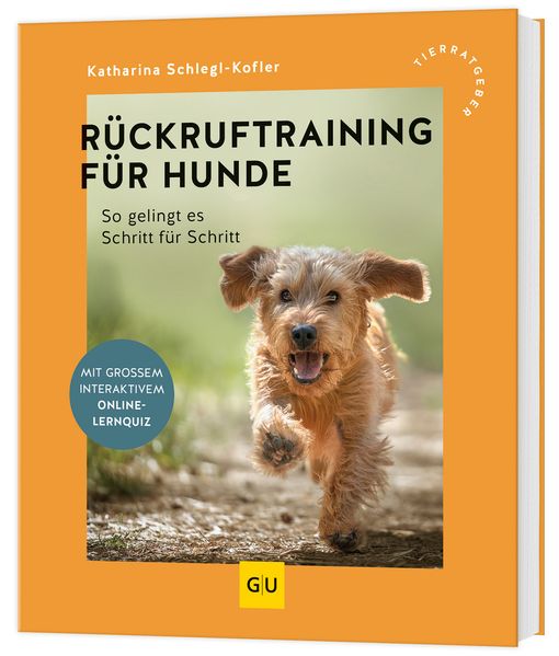 Rückruftraining für Hunde
