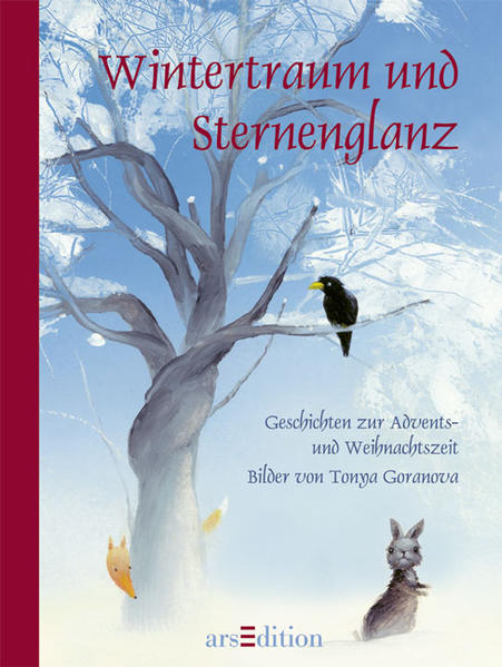 Wintertraum und Sternenglanz