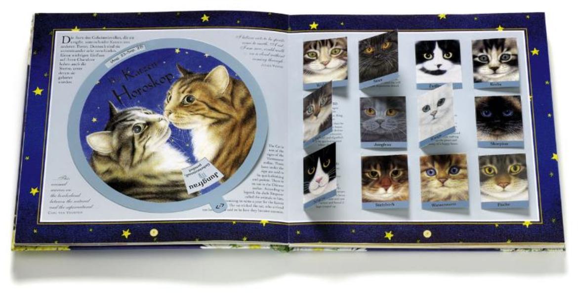 Katzen - Auf leisen Pfoten
