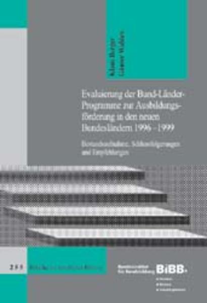 Evaluierung der Bund-Länder-Programme zur Ausbildungsförderung in den neuen Bundesländern 1996-1999