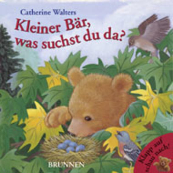 Kleiner Bär, was suchst du da?