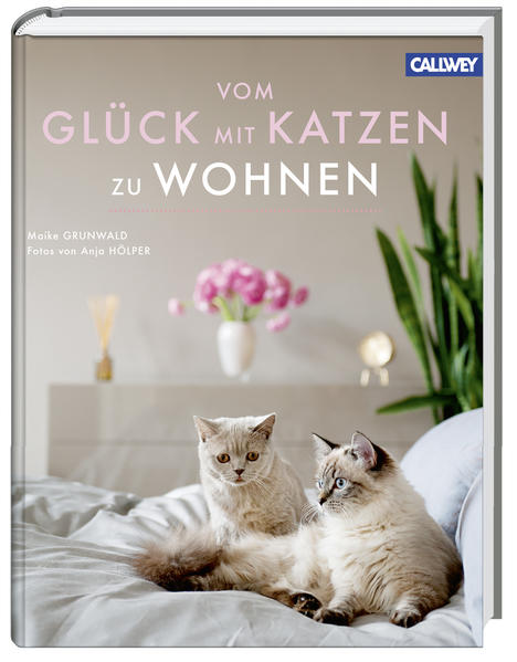 Vom Glück mit Katzen zu Wohnen
