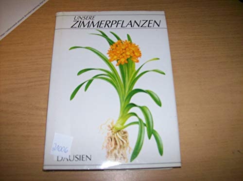 Unsere Zimmerpflanzen
