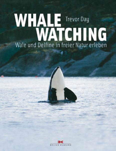 Whale Watching