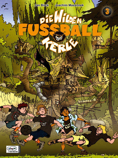 Die wilden Fussballkerle