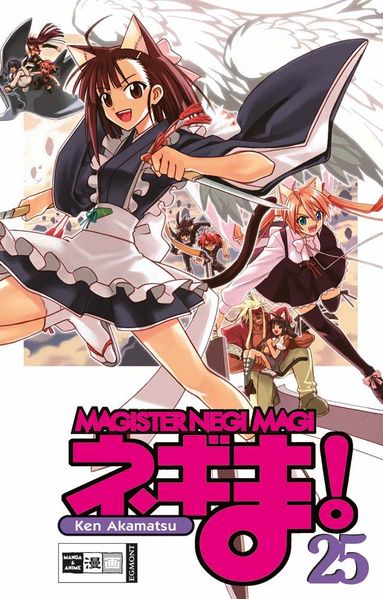 Negima! Magister Negi Magi 25